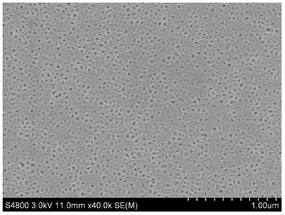 Preparation method for block polymer co-assembled homopore membrane