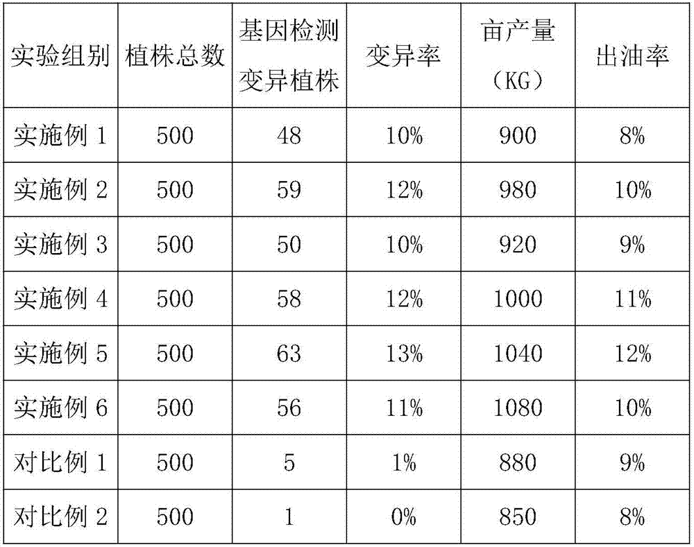 Peony-seed variety breeding medium