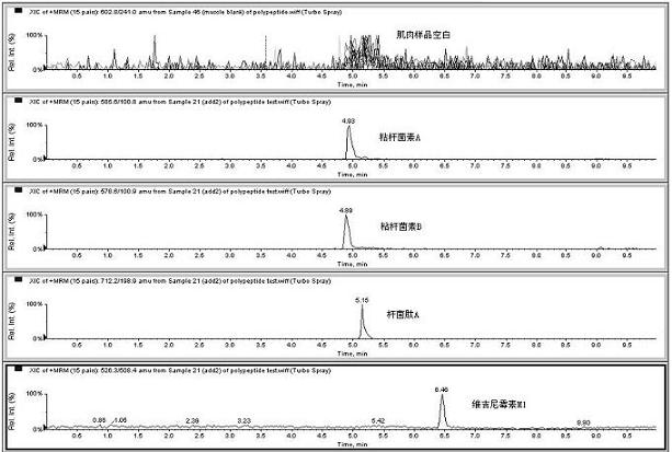 Method for detecting residual quantity of multiple polypeptidepolypeptide veterinary drugs in animal-derived food