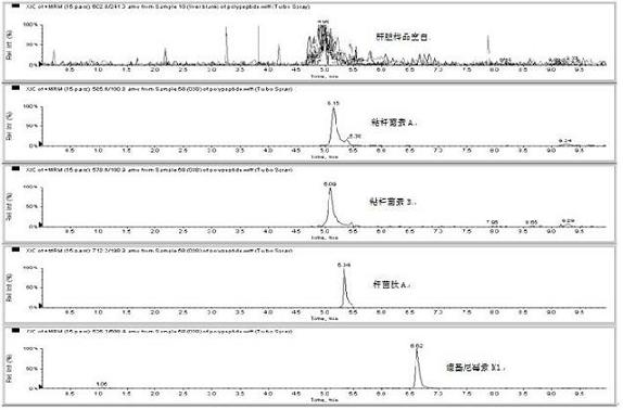 Method for detecting residual quantity of multiple polypeptidepolypeptide veterinary drugs in animal-derived food