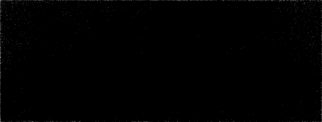 Method for separating living cell and constructing cell bank by means of tissue homogenate method