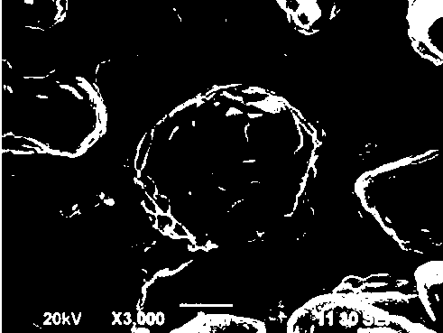 Anode material, preparation method of anode material and lithium ion battery comprising anode material