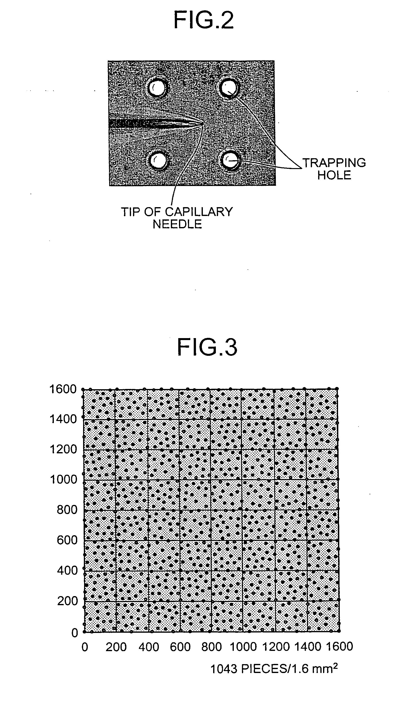 Automatic macroinjection apparatus and cell trapping plate