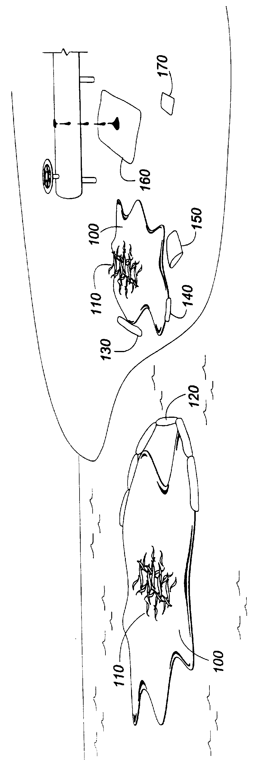 Process for sorbing liquids using tropical fibers