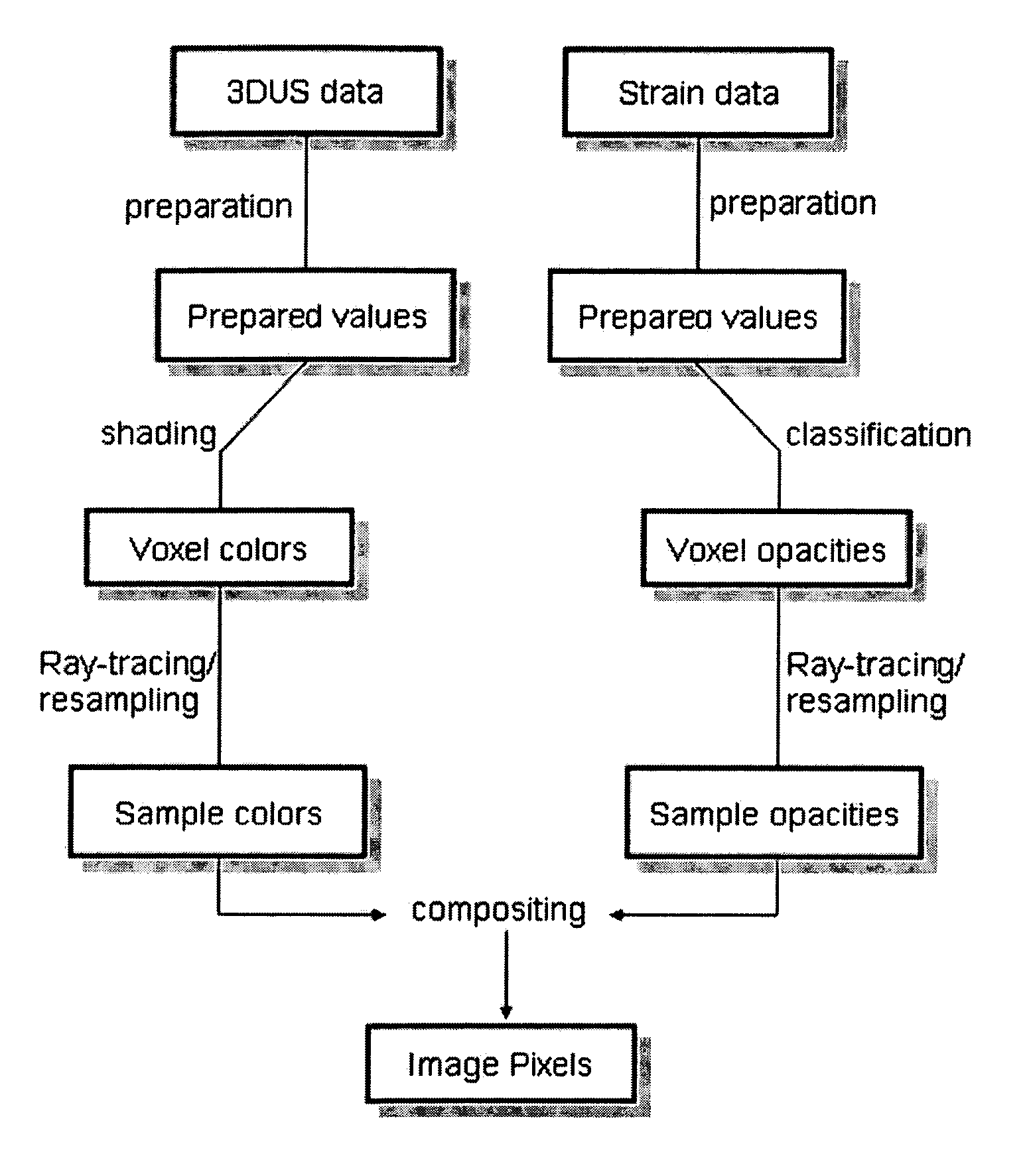 Robotic 5-dimensional ultrasound