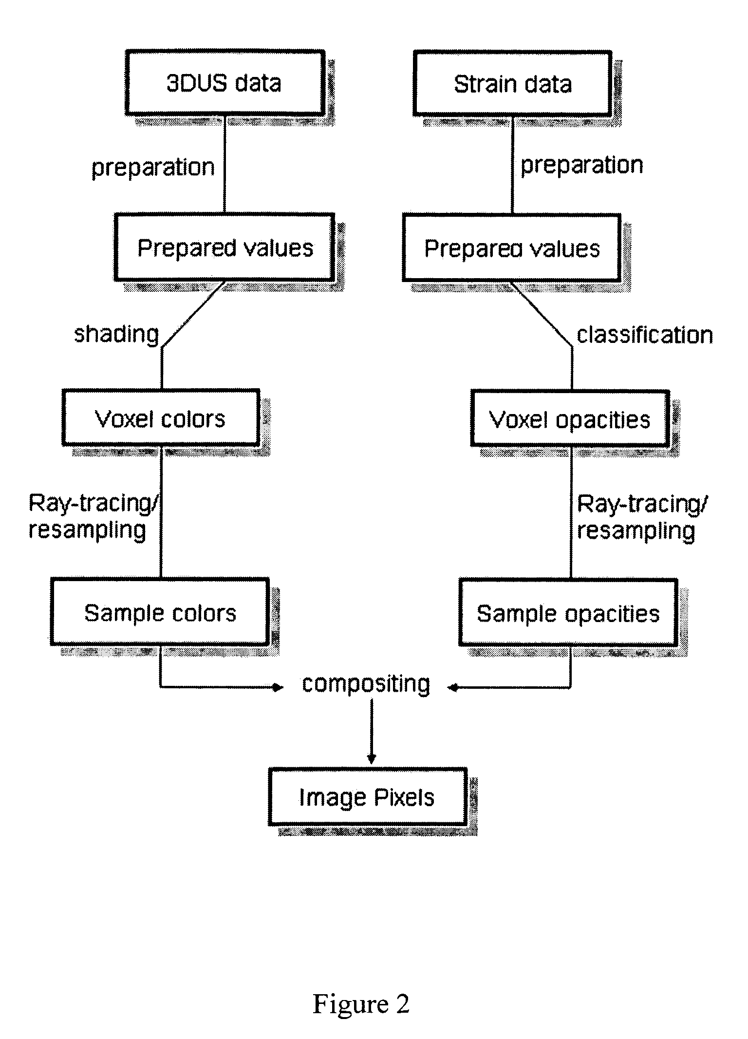 Robotic 5-dimensional ultrasound