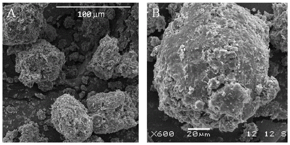 Method for simultaneously reducing production of acrylamide and 5-hydroxymethylfurfural in high-temperature processed foods