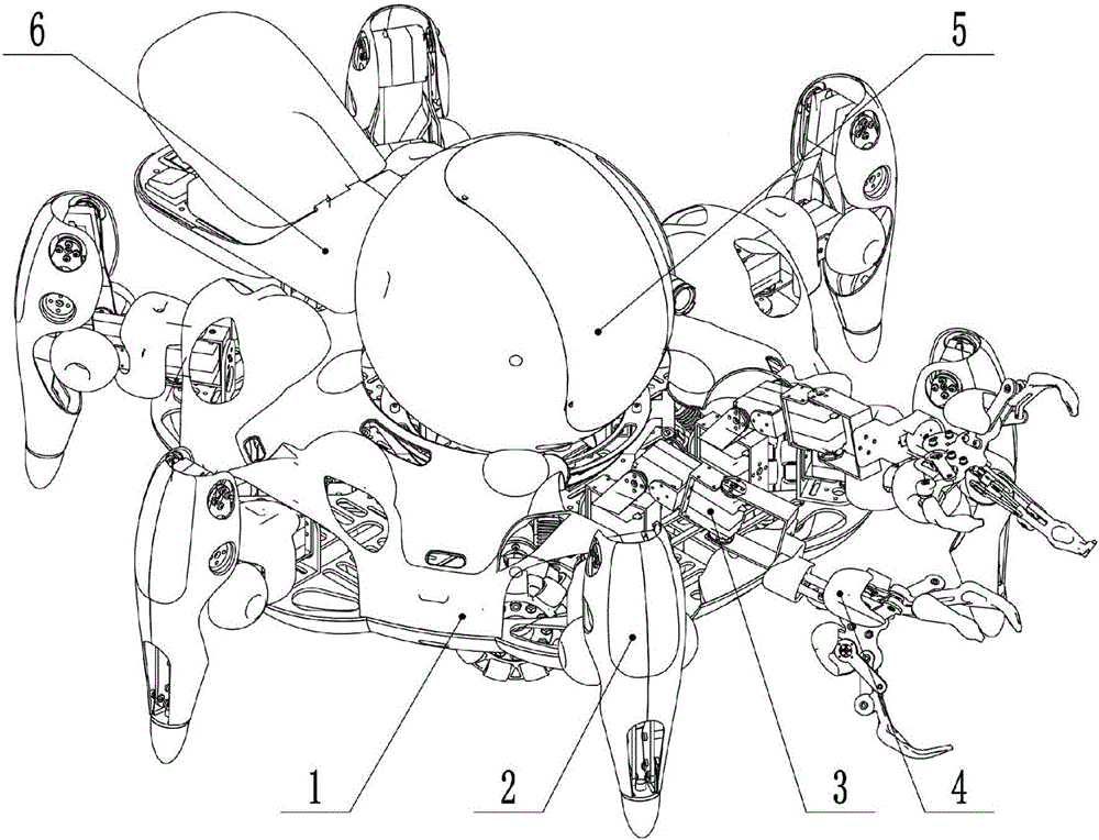 Wheeled-leg hybrid mobile robot