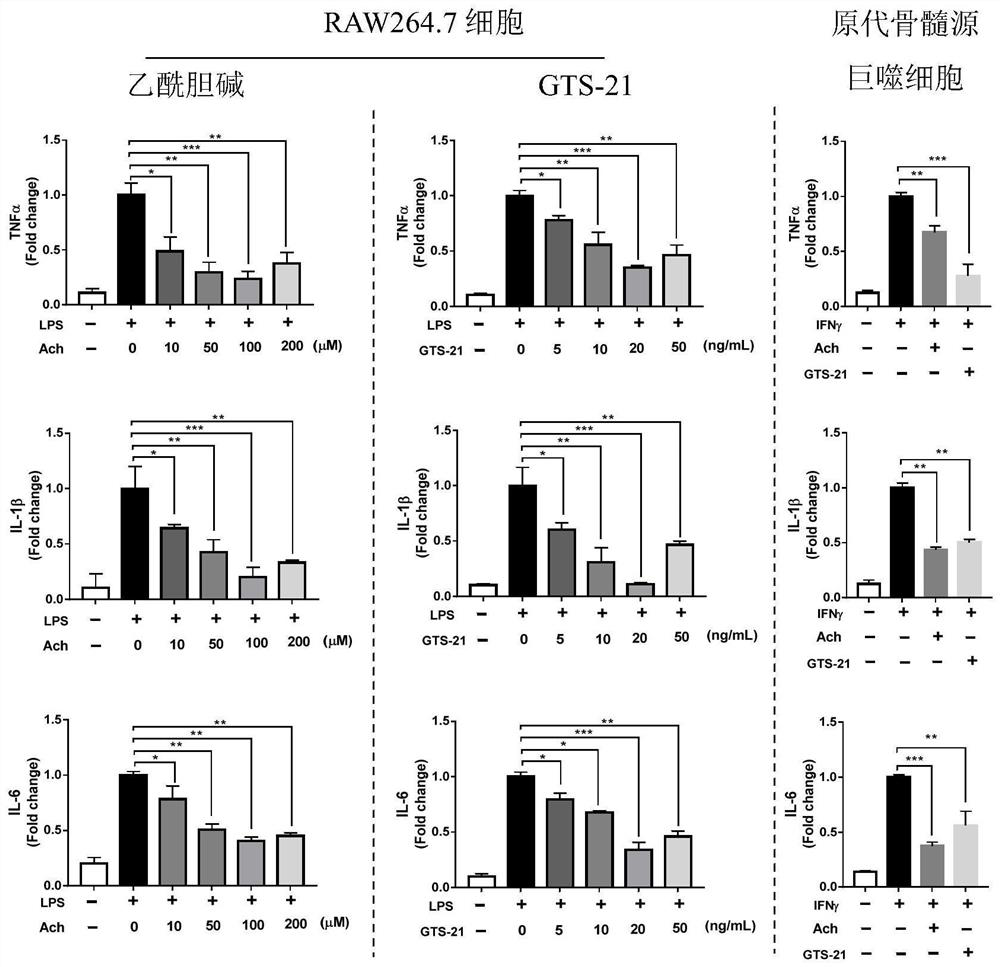 Method for regulating polarization state of macrophages