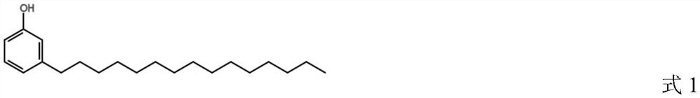 A kind of method for preparing hexamethylbenzene with cardanol and methanol as raw materials