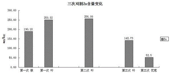 Method for repairing soil heavy metal pollution by using ixeris denticulata