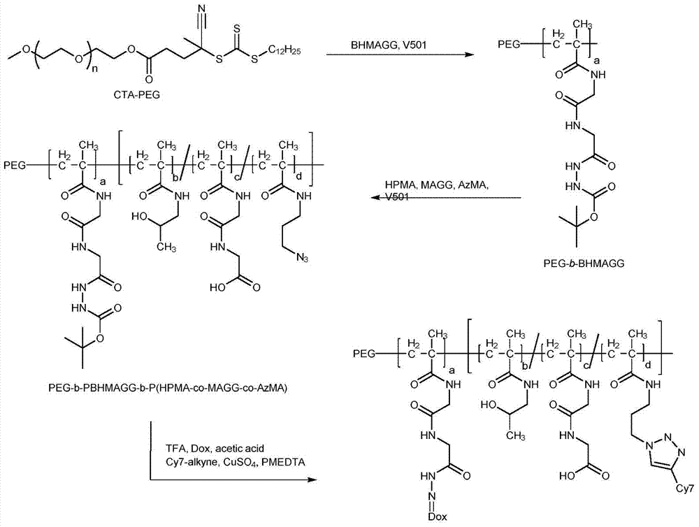 Tumor specifically-enriched nanometer drug delivery system and preparation method thereof