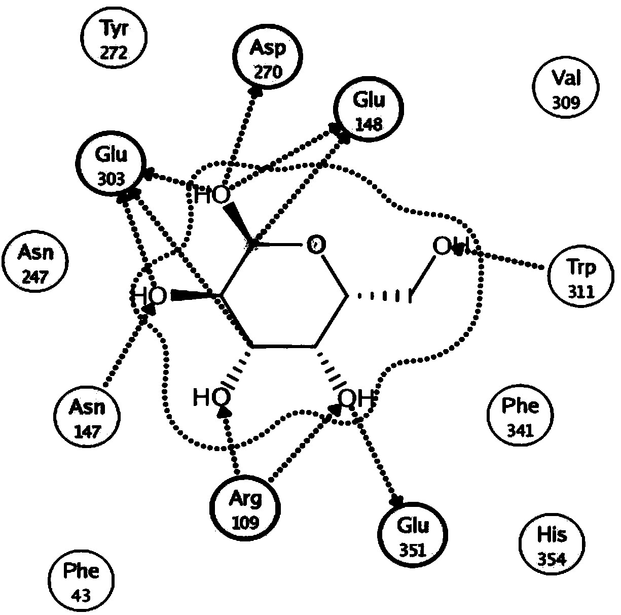 Heat-resistant beta-galactosidase mutant with transglycosylation and preparation method of mutant