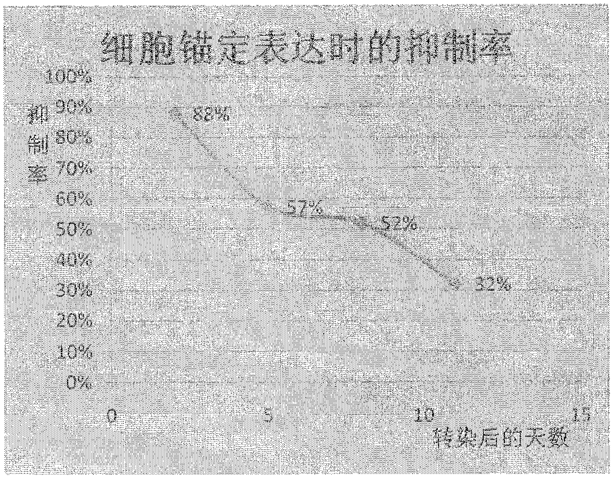 Small-ring type DNA (deoxyribonucleic acid) recombinant vector for blocking HIV (human immunodeficiency virus)-1 membrane fusion and application thereof