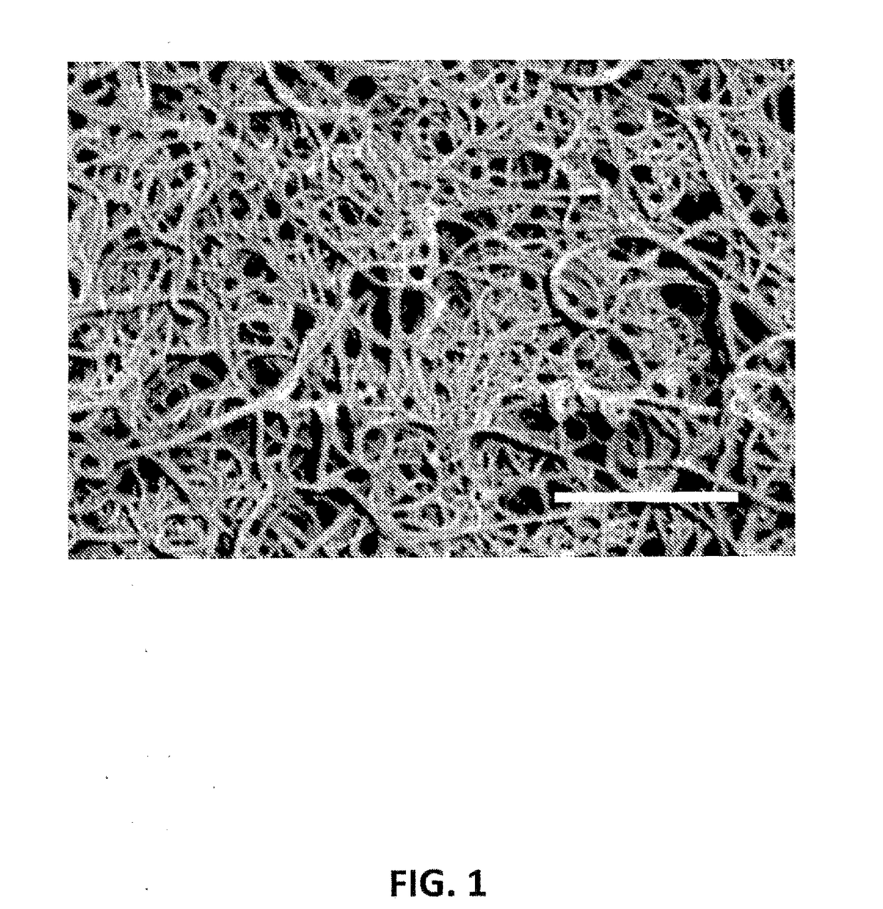 3D printers and photocurable polymer and resin based feedstocks for 3D printers