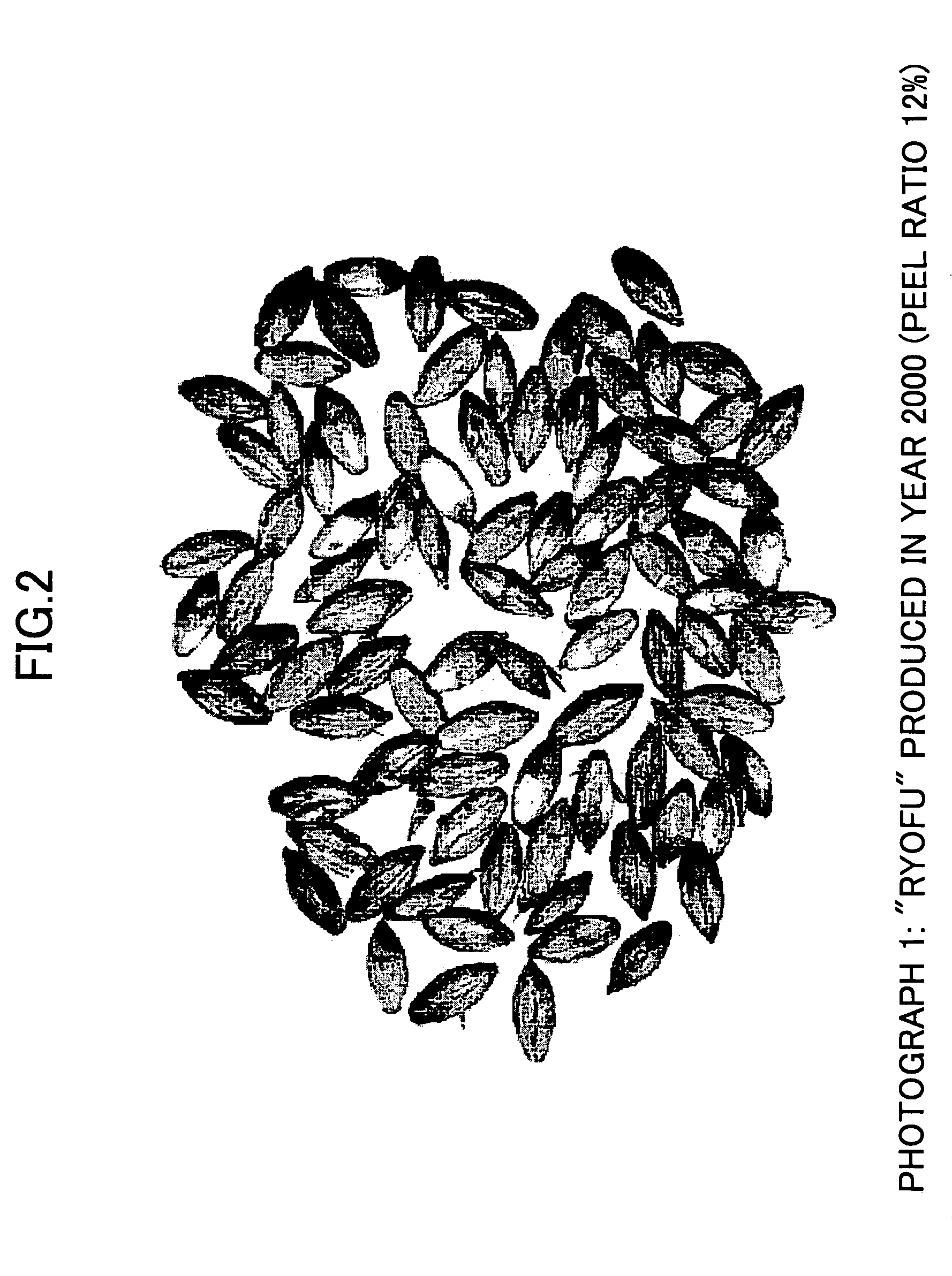 Method of judging suitability of raw barley for feedstock for malt production according to staining technique