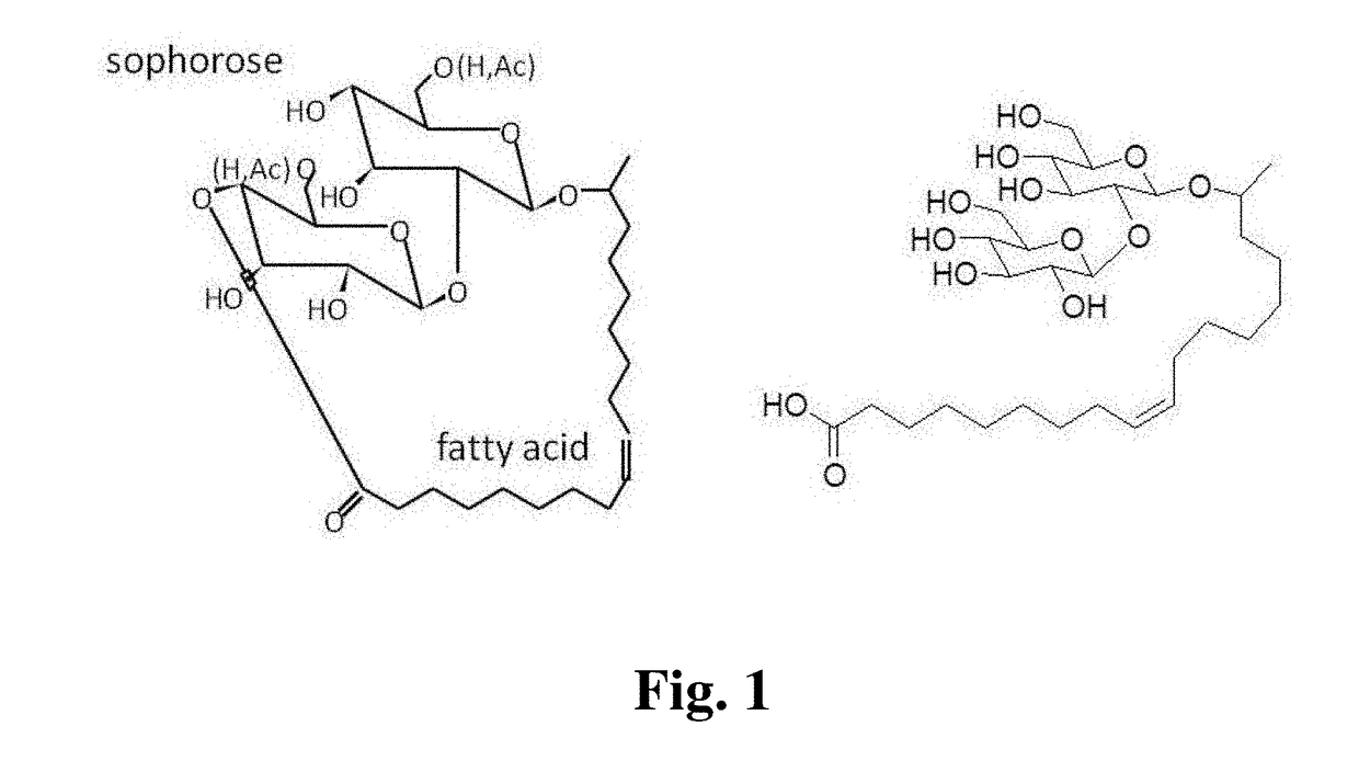 Compositions Containing a Bitter Tastant and at Least One Sophorolipid, and Methods of Reducing Bitter Taste Attributed to a Bitter Tastant in an Edible Composition