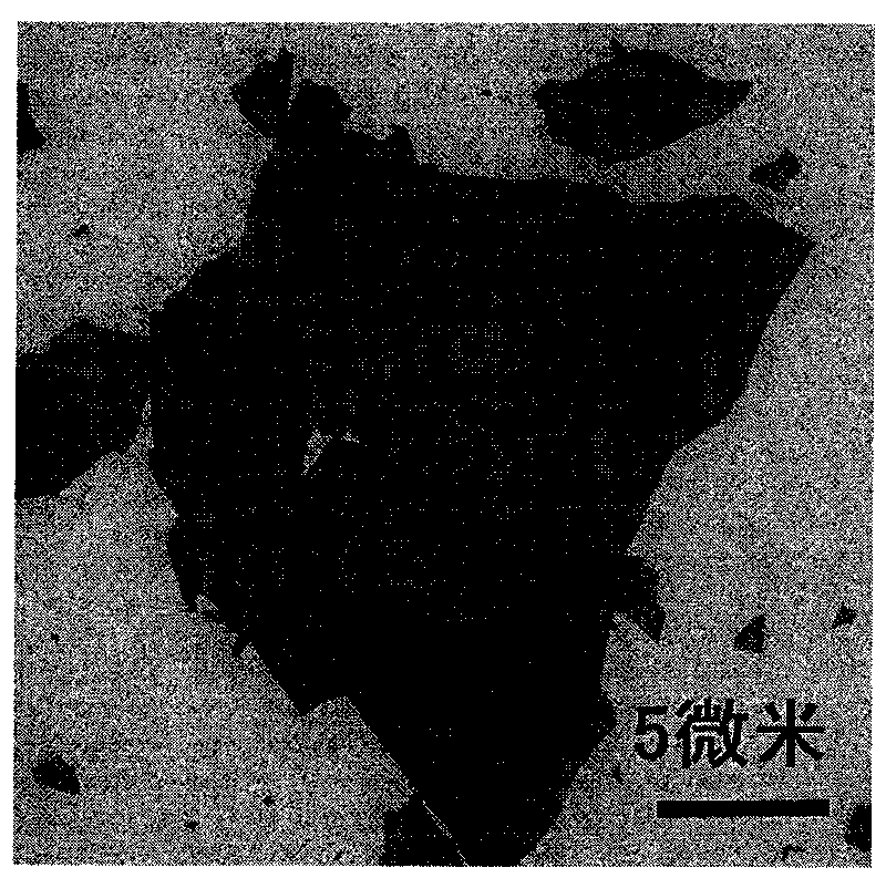 Method for preparing grapheme through organic amine solvothermal method