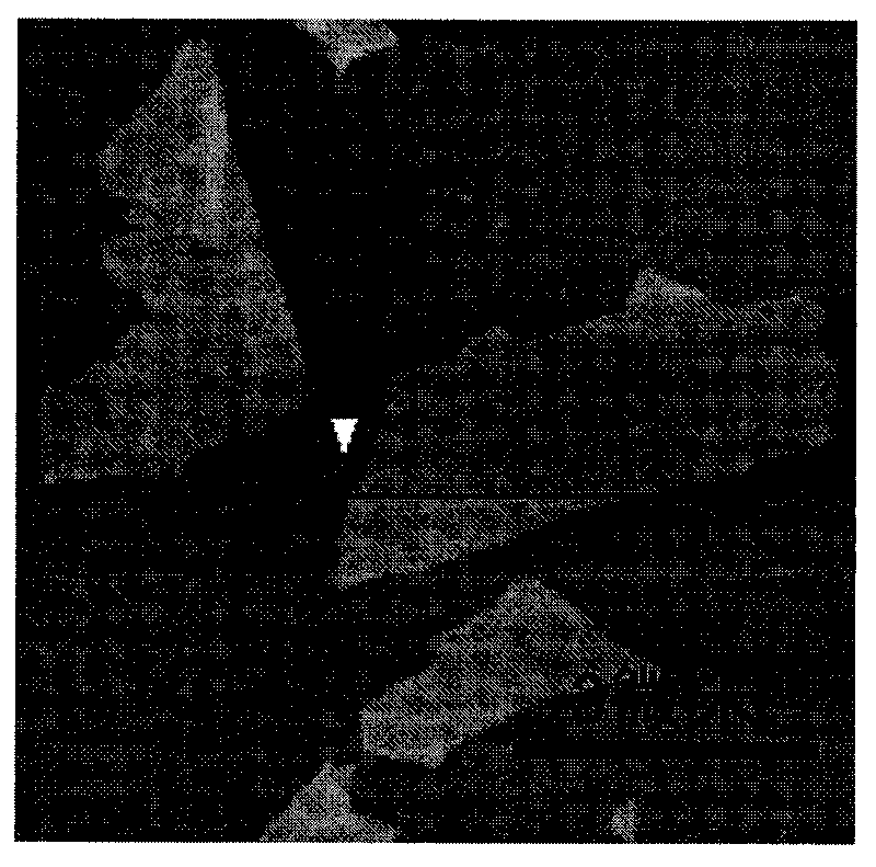 Method for preparing grapheme through organic amine solvothermal method