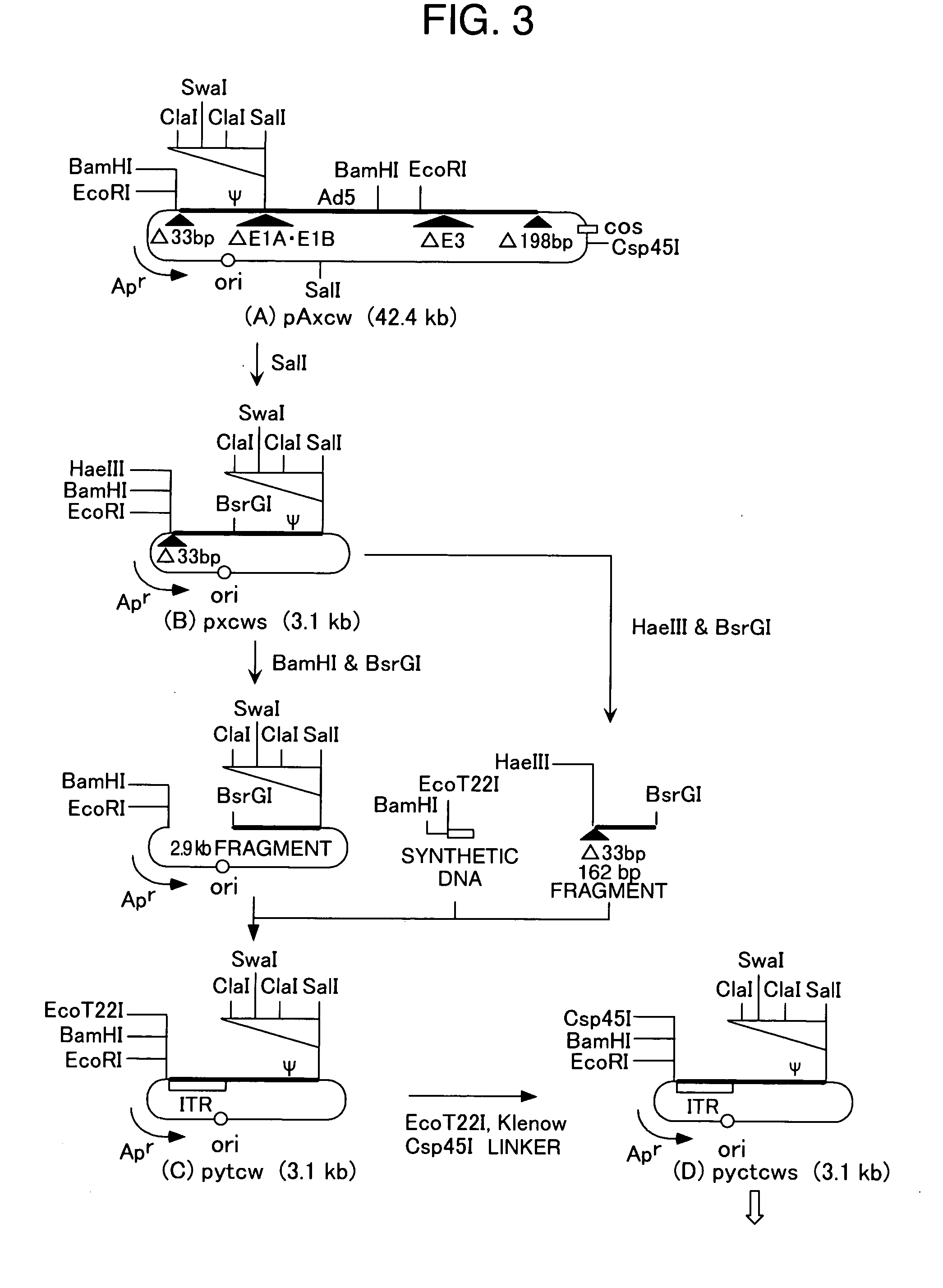 Novel cosmid vector