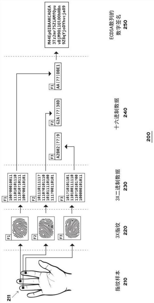 Biometric digital signature generation for identity verification