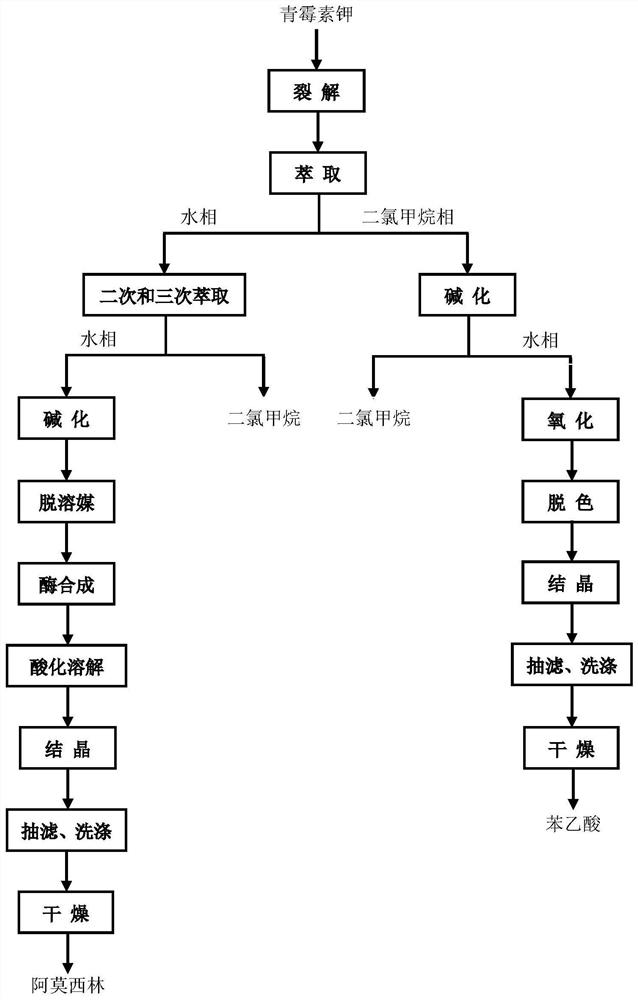 A kind of method preparing amoxicillin and phenylacetic acid by penicillin potassium