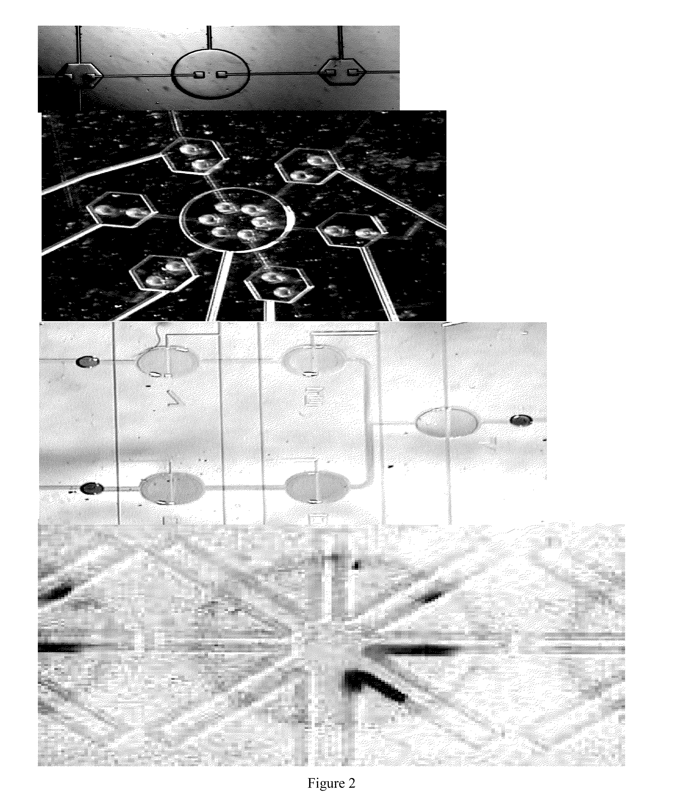 Universal sample preparation system and use in an integrated analysis system