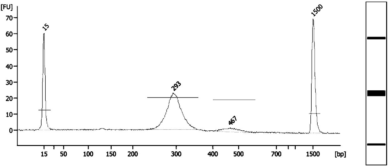 Method and system for determining fetal beta thalassemia gene haplotype