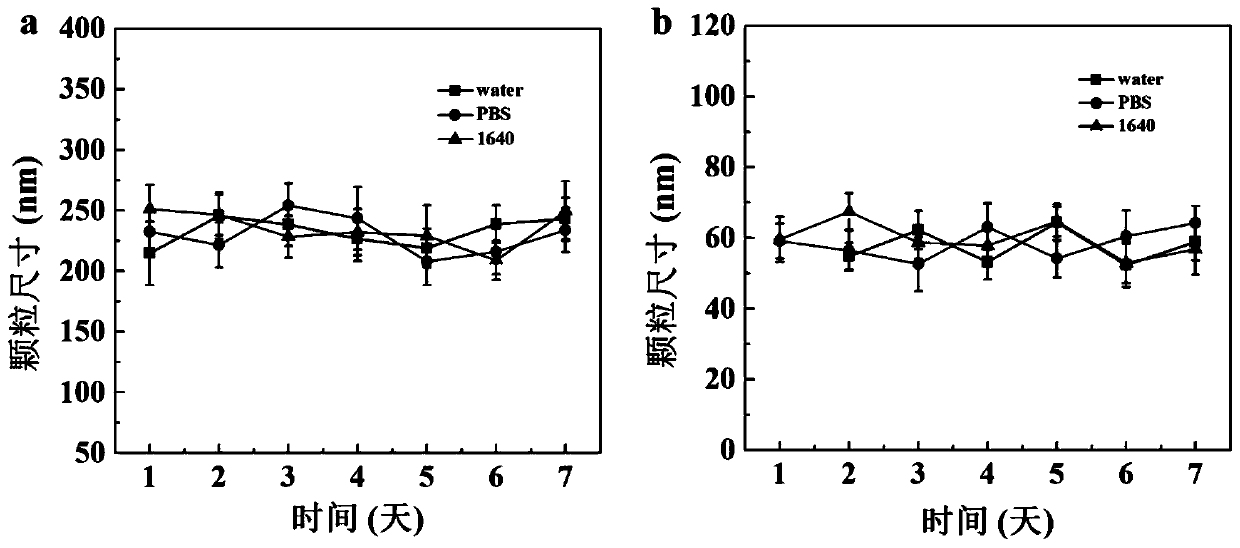 Cell membrane coated ultra-small ferroferric oxide nanocluster, and preparation and application thereof