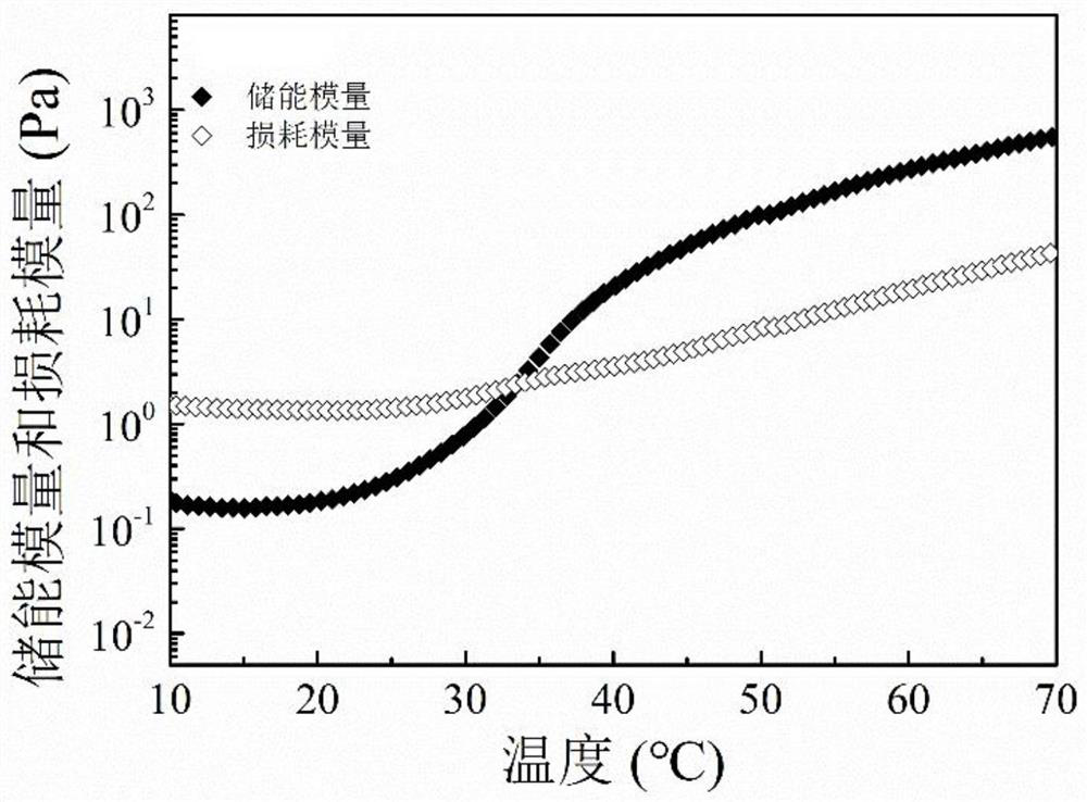 Phase-transition-adjustable polymer/laponite nano particle compound thermally induced hydrogel as well as preparation method and application of phase-transition-adjustable polymer/laponite nano particle compound thermally induced hydrogel