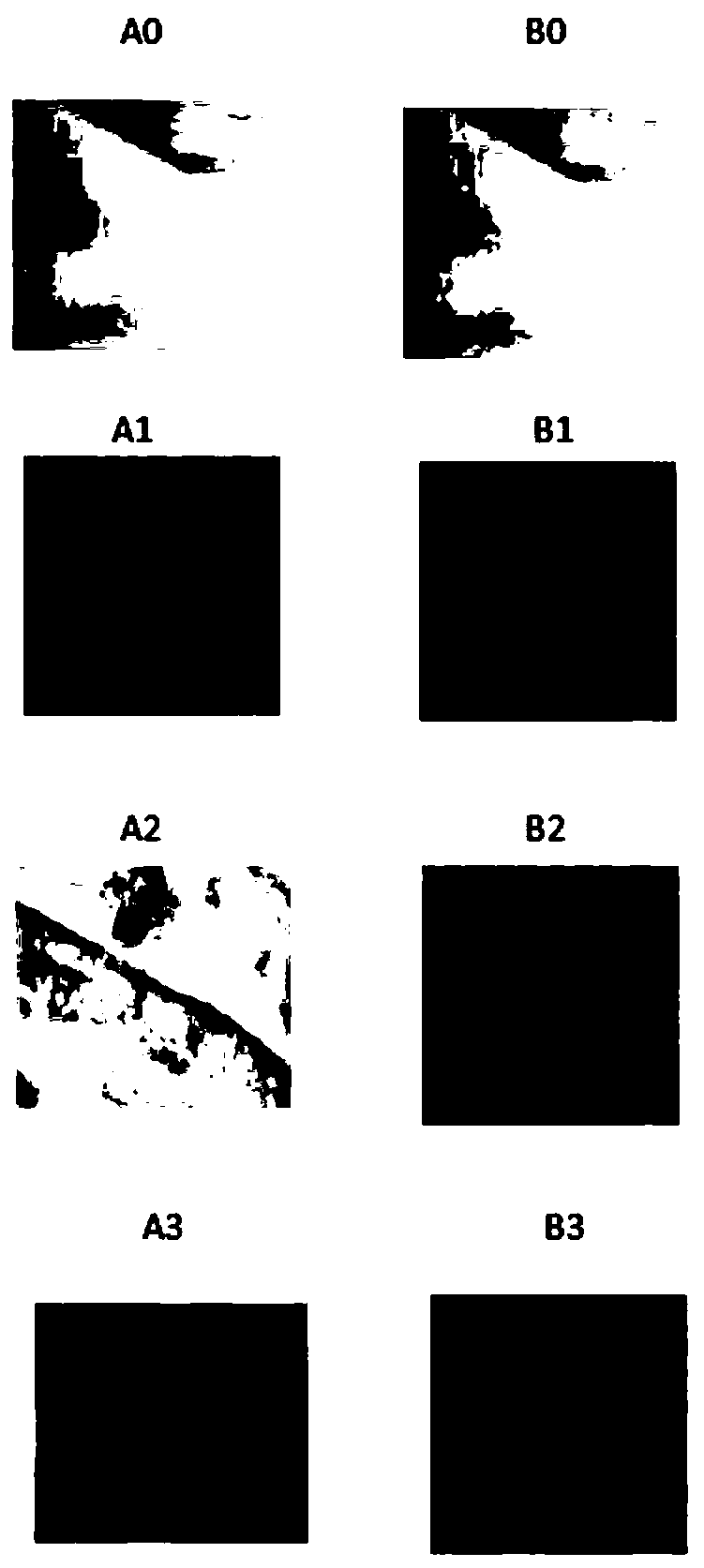 Active bio-based chlorine-containing s-triazine type macromolecular dye preparation method