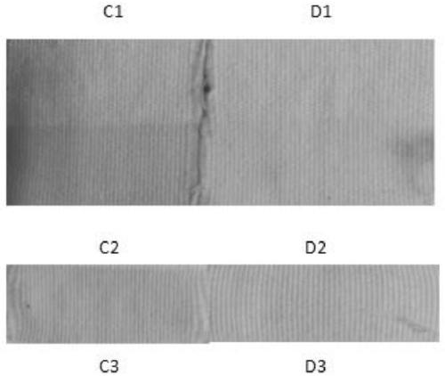 Active bio-based chlorine-containing s-triazine type macromolecular dye preparation method