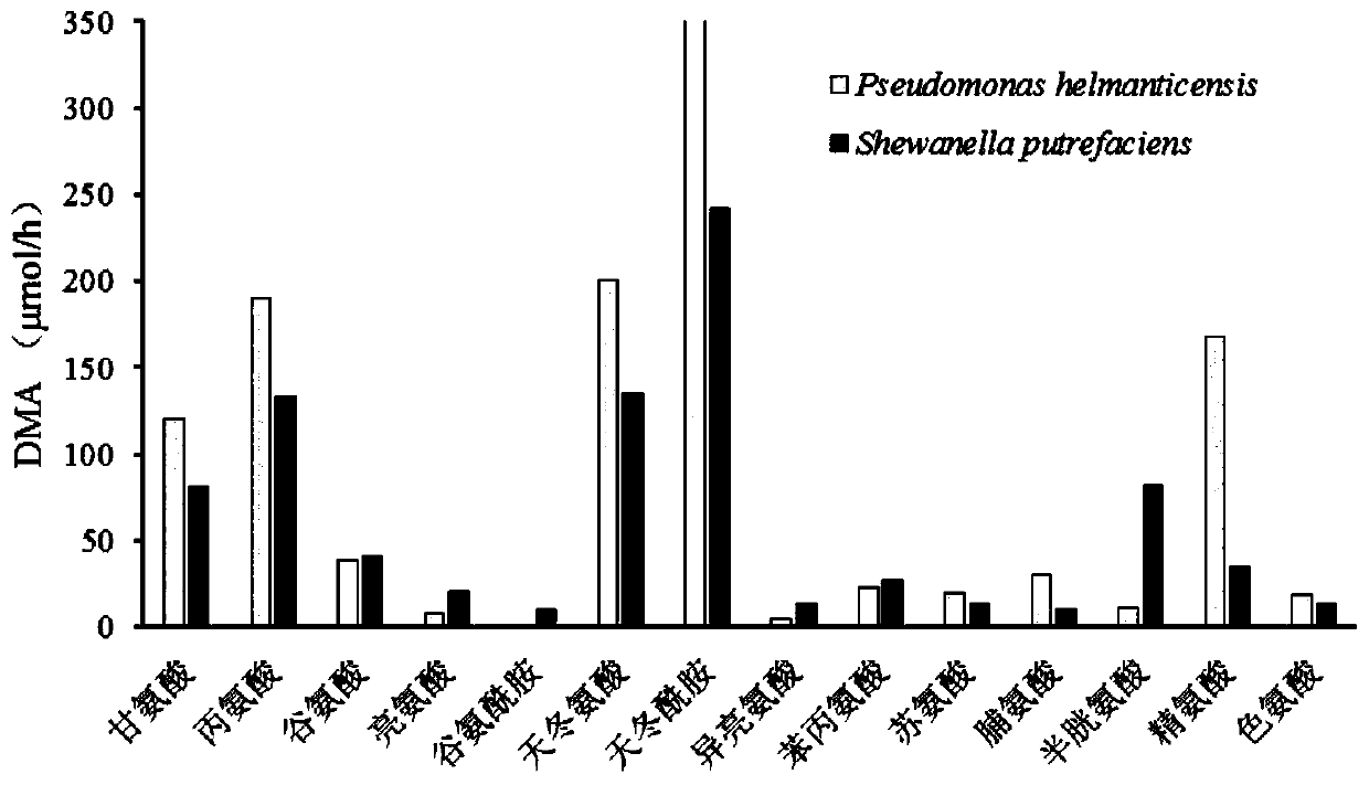 Method for detecting deamination capability of amino acid of spoilage bacteria in fish flesh