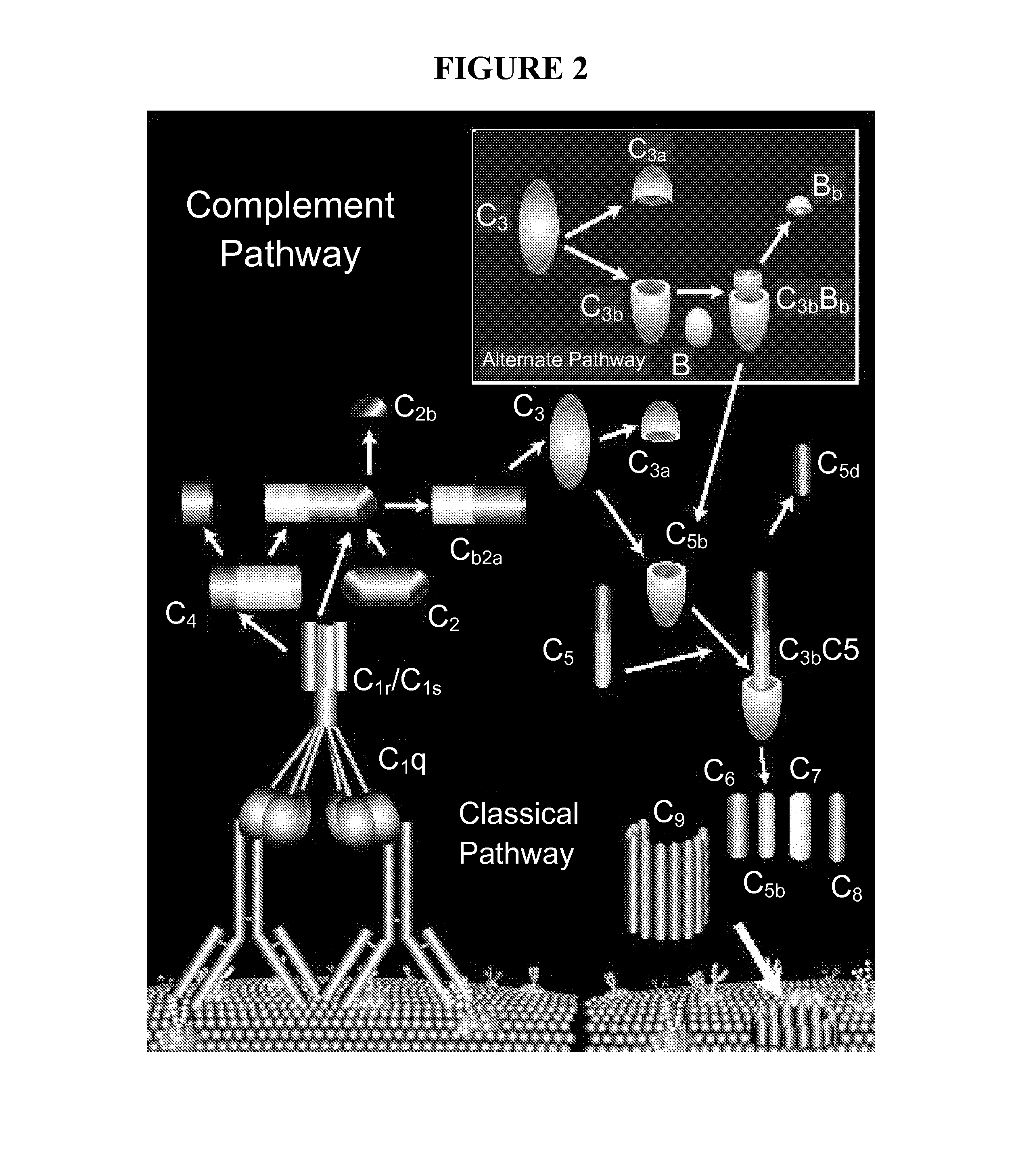 Methods and compositions for altering cell function