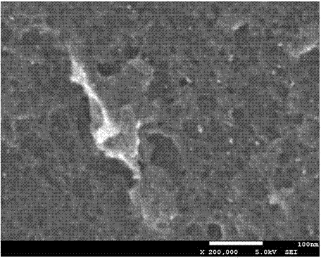 High-specific surface area functional active carbon material and electrode slurry preparation method