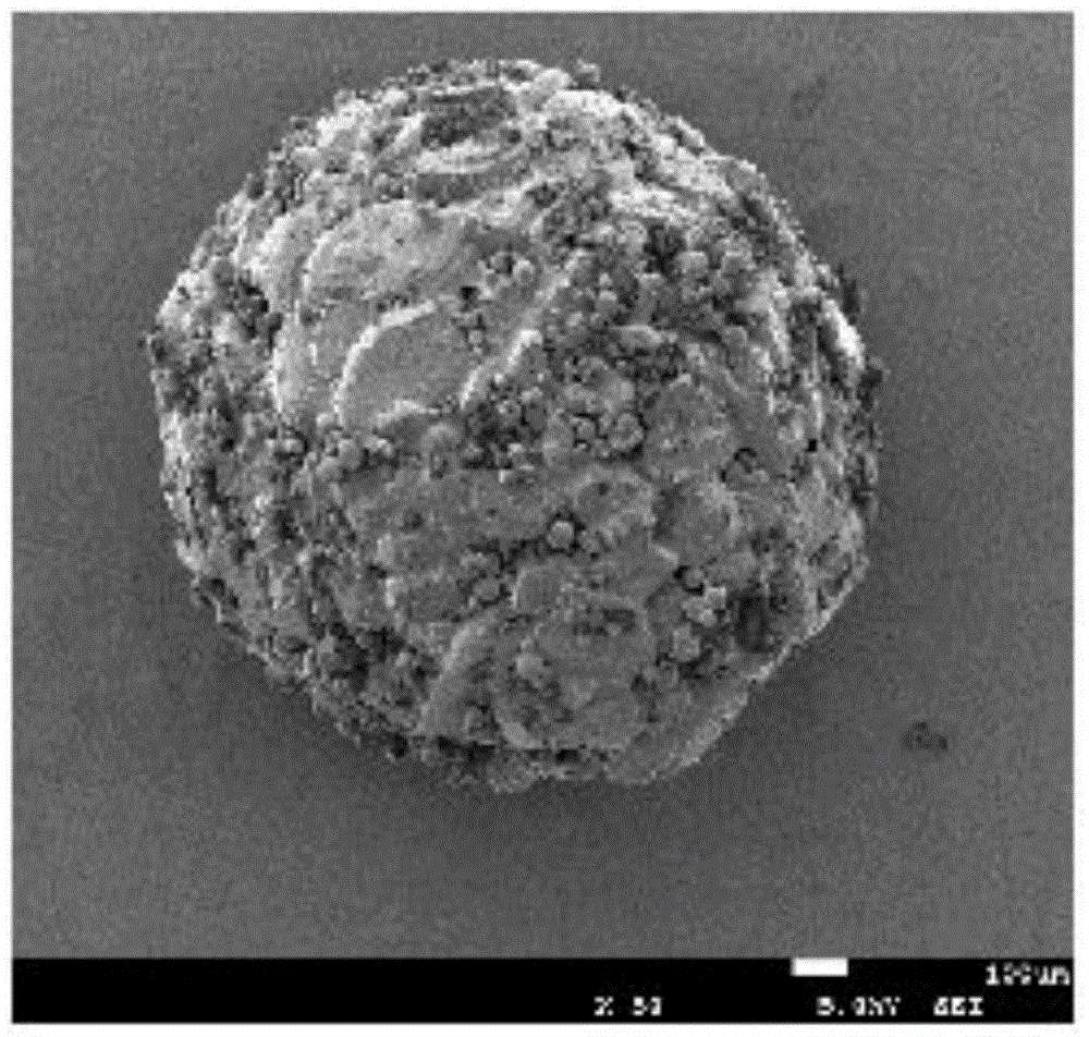 Preparation method of potassium persulfate microcapsule gel breaker