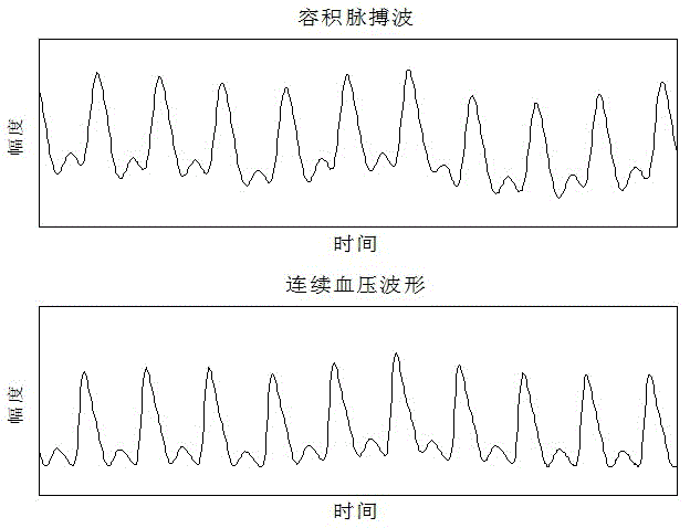 Continuous blood pressure measuring device based on pulse waves