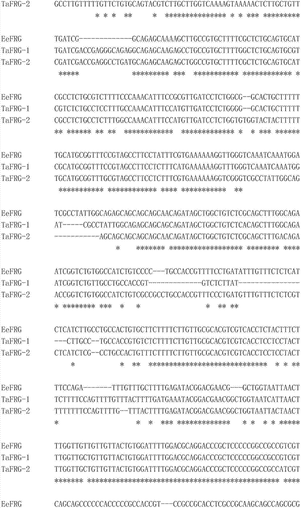 Male fertility maintaining method and application thereof