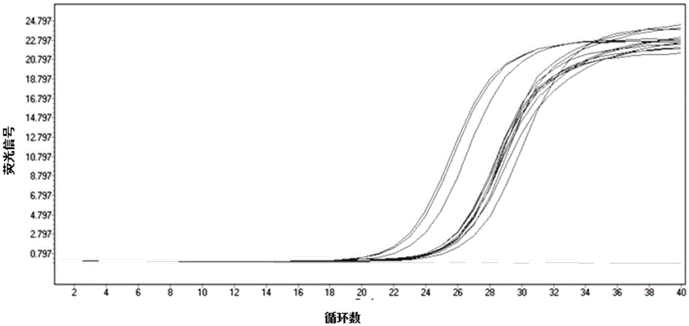 Primer set and method for multiple nested fluorescent quantitative PCR detection of transgenic soybean gts40-3-2 and exogenous genes