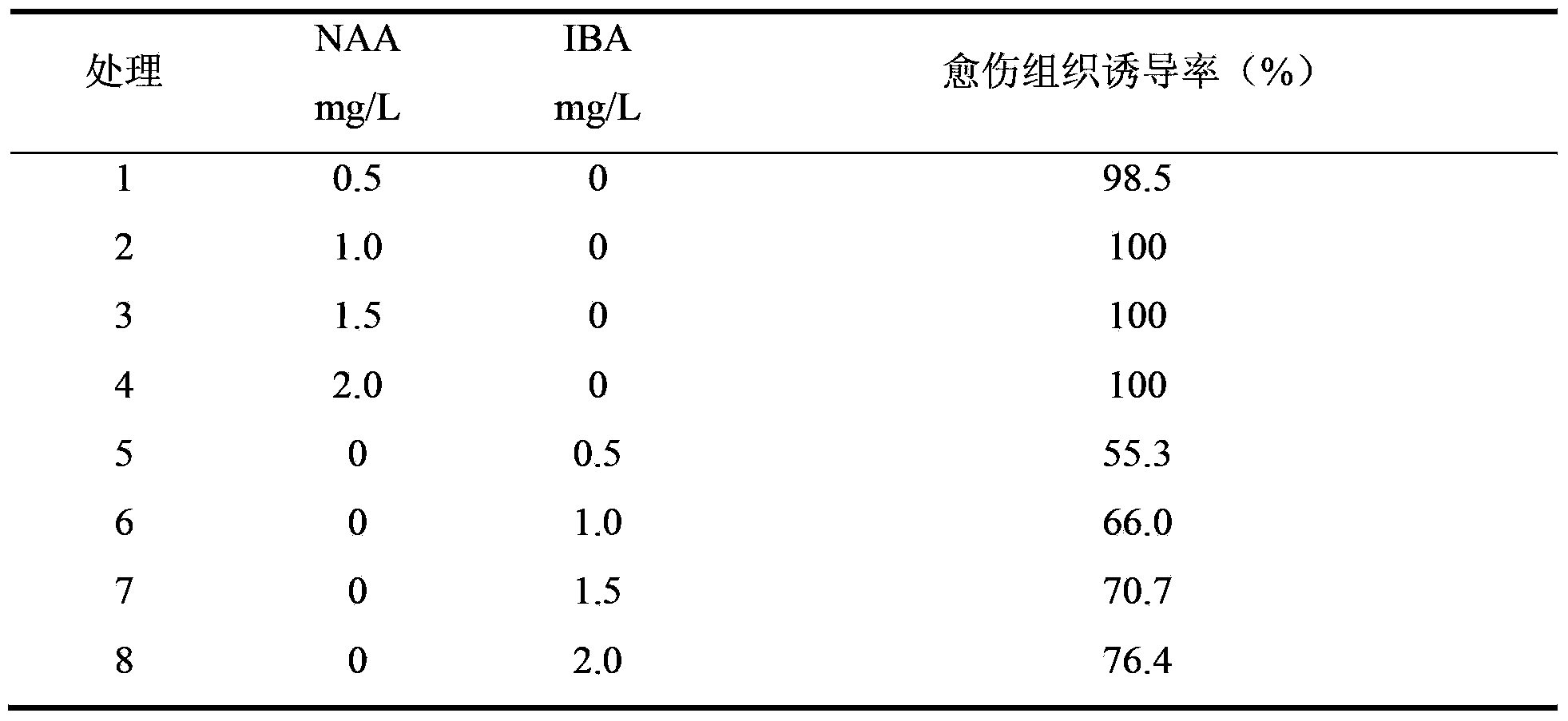 Tissue-culture rapid propagation method for pyrus betulaefolia bunge