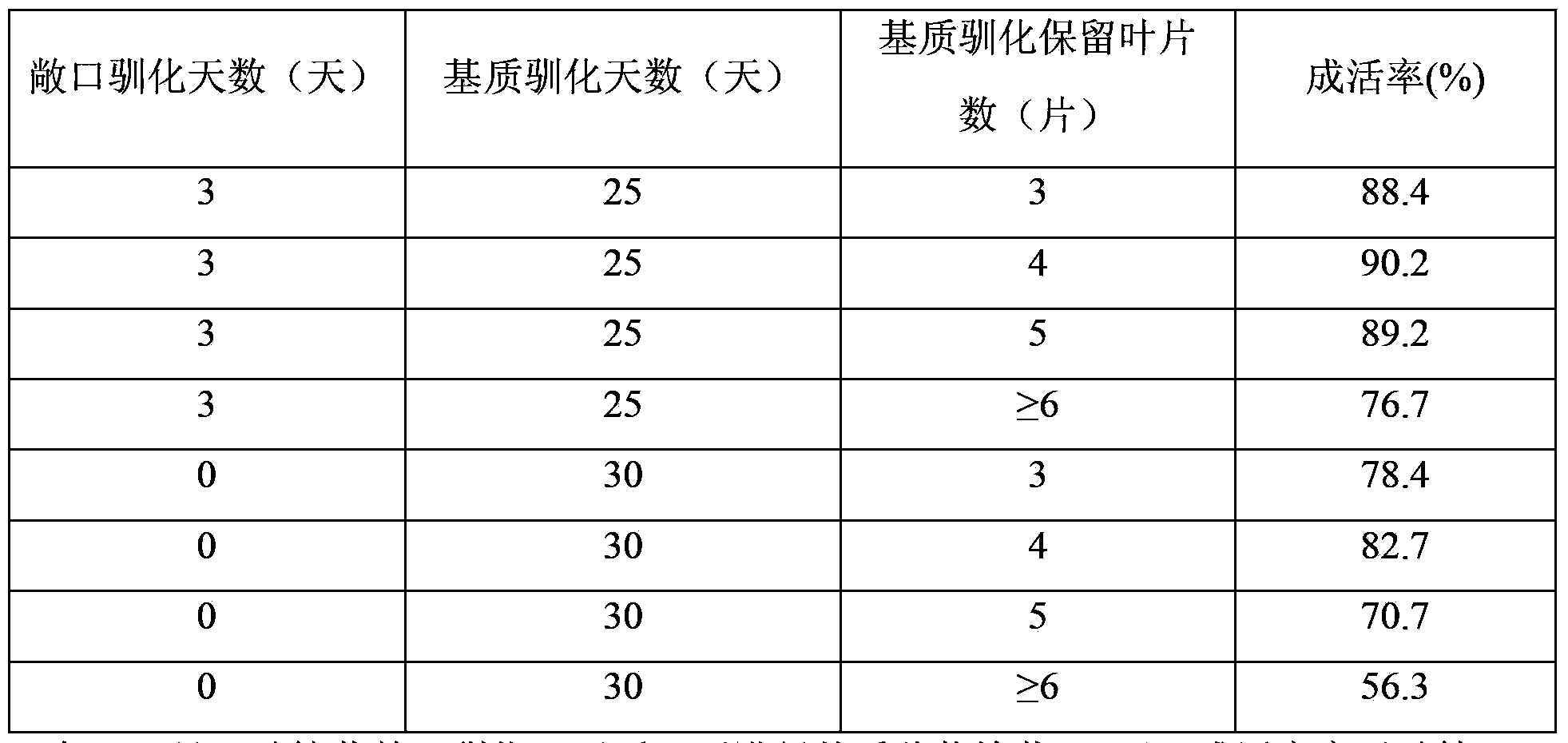 Tissue-culture rapid propagation method for pyrus betulaefolia bunge