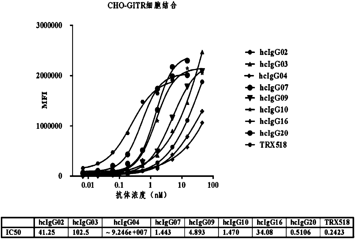 Miniaturized antibodies of antiglucocorticoids induced tumor necrosis factor receptor (GITR), and polymers and application thereof