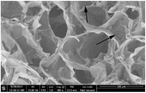 Thermo-sensitive hydrogel used for cartilage repair and preparation method and application thereof