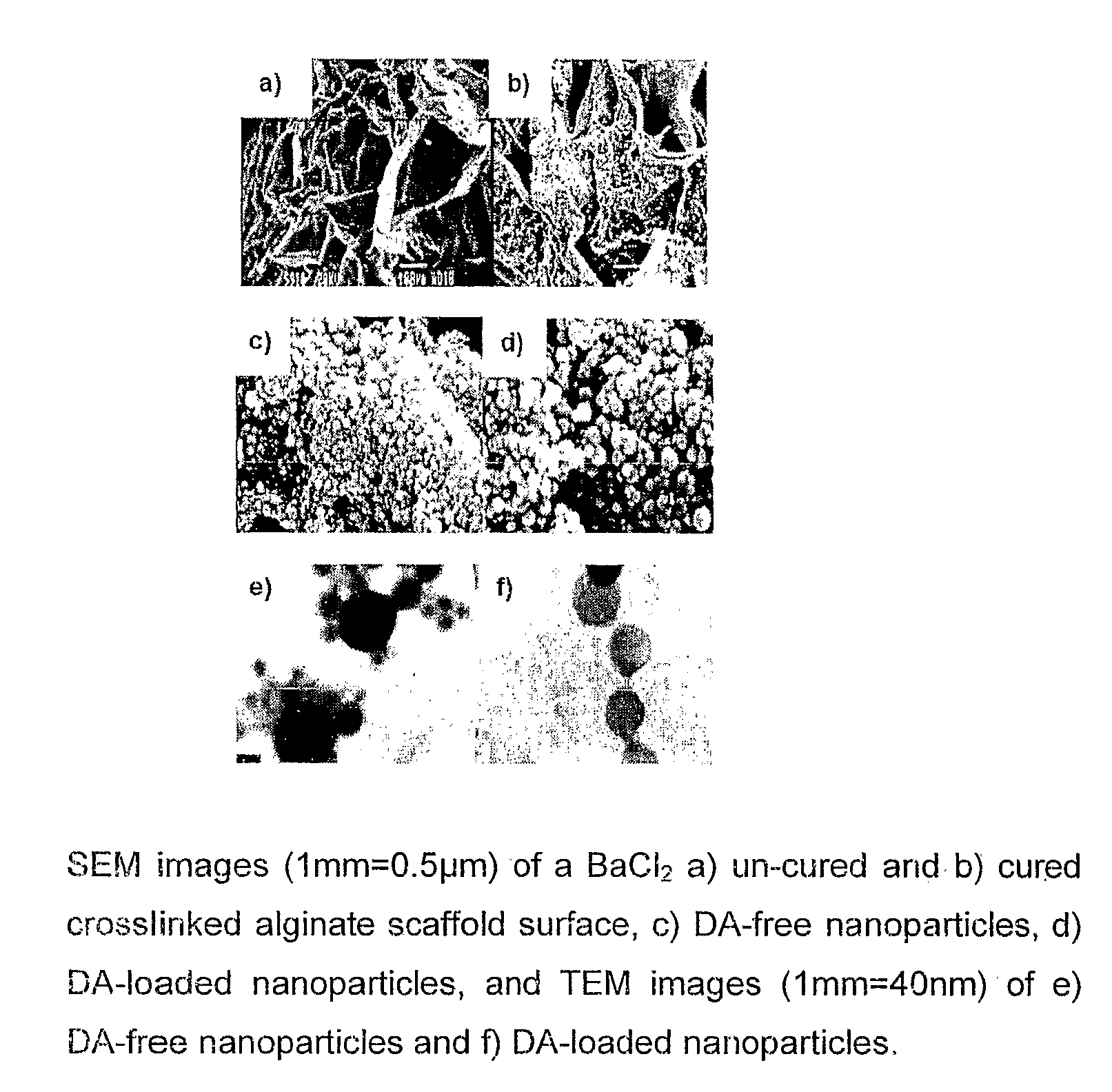 Polymeric pharmaceutical dosage form in sustained release