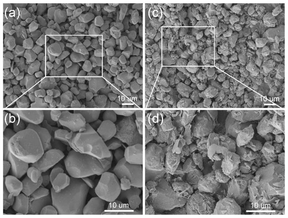 Eutectic solvent etched lithium cobalt oxide catalyst as well as preparation method and application thereof