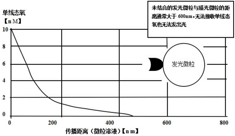 Rapid myoglobin detection method and corresponding detection kit