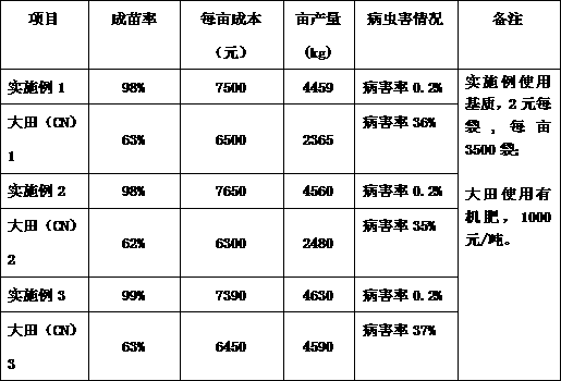 Konjak nutrition medium bag cultivation method