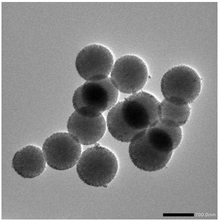 A preparation method of a new type of microgel bone powder for tissue repair after osteoma surgery