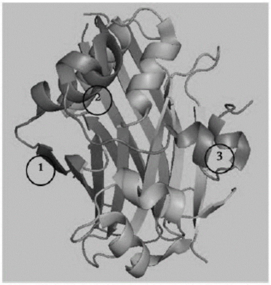 High-activity tumor inhibitor as well as preparation method and application thereof