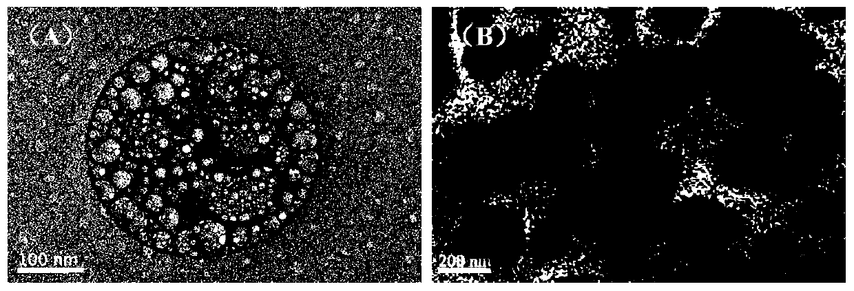 Preparation method of polyacrylic acid-tocopherol succinate self-assembly drug loading system for slow drug release